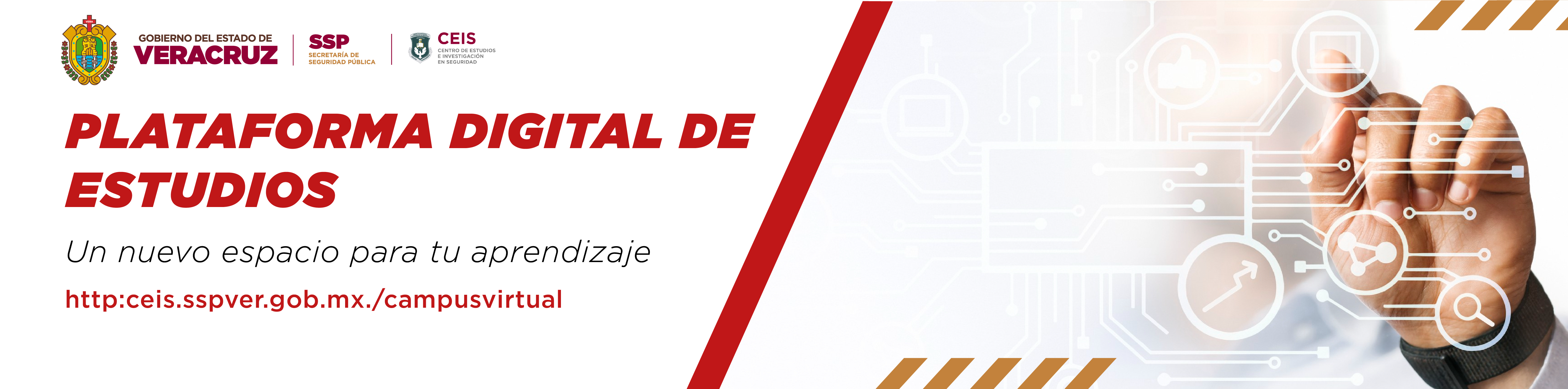 Plataforma Digital de Estudios 