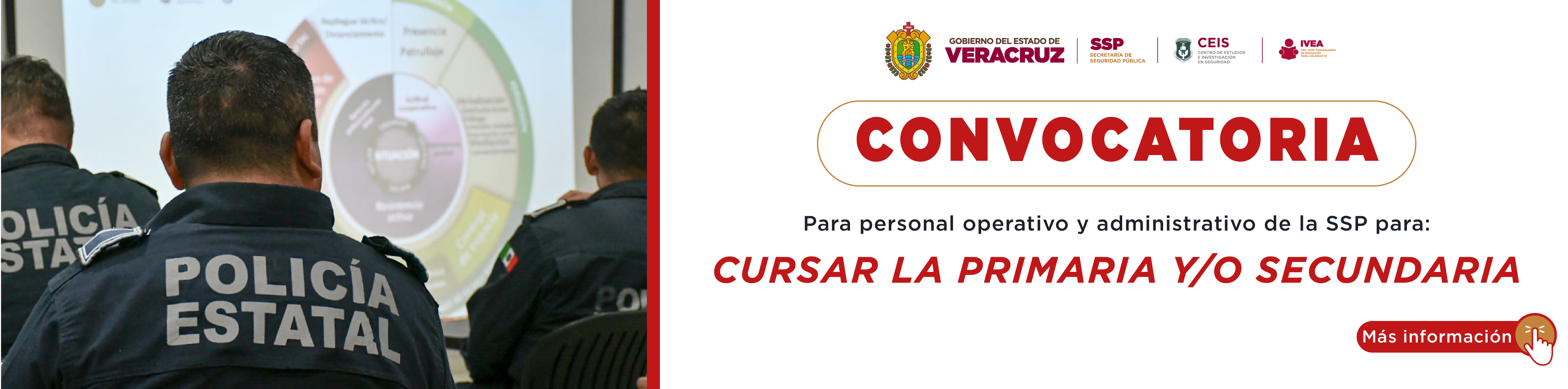 Educación Básica - IVEA